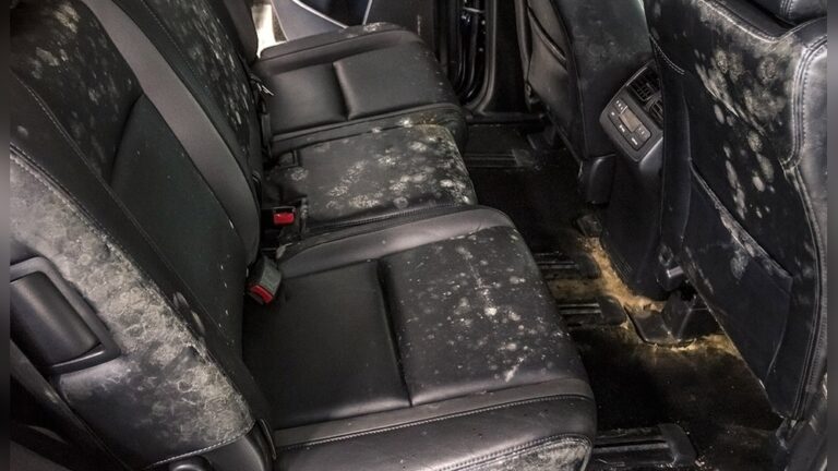 Why Does My Car Smell Musty Inside